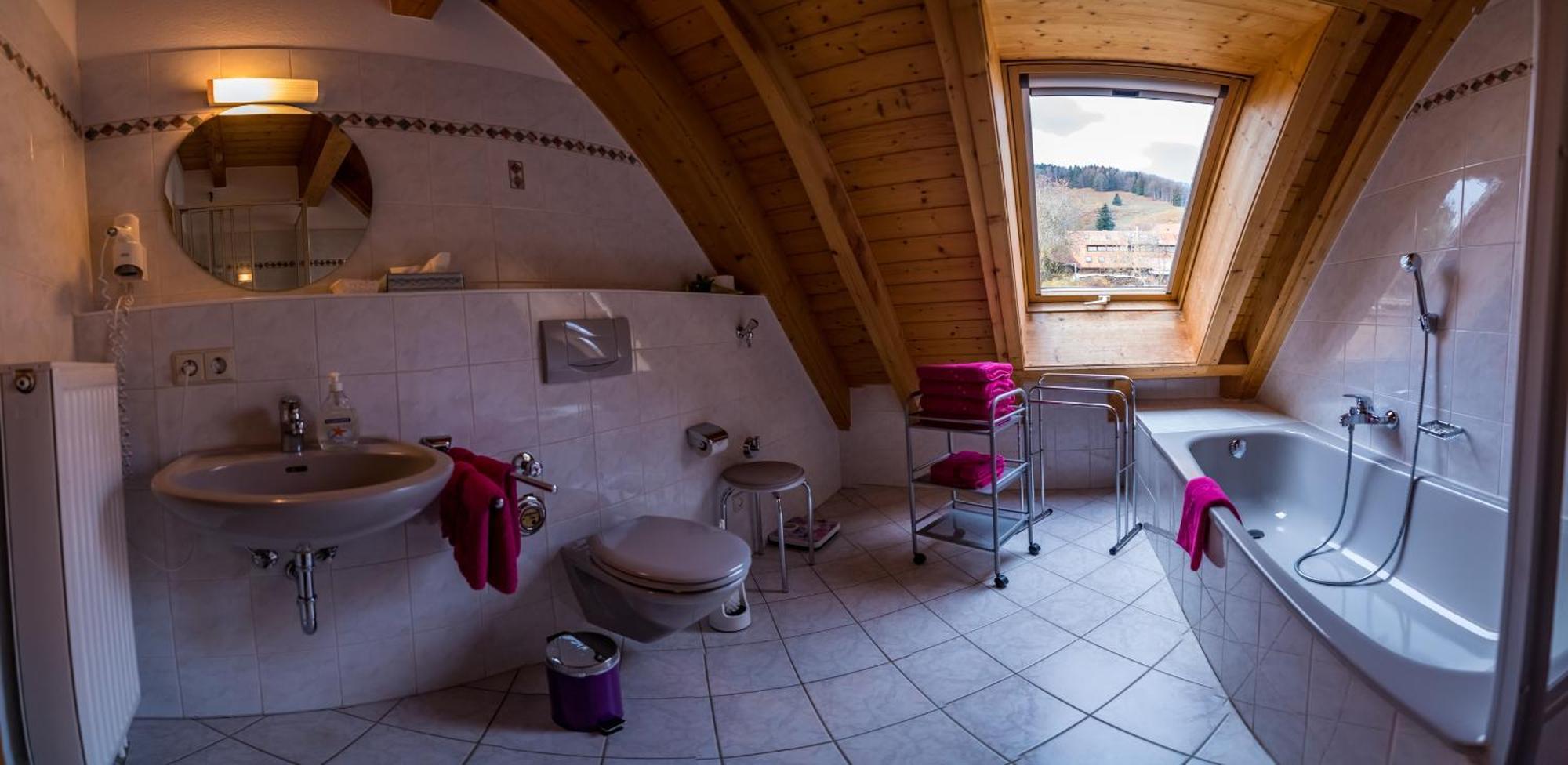 Schwarzwaldliebe Apartman Frohnd Kültér fotó