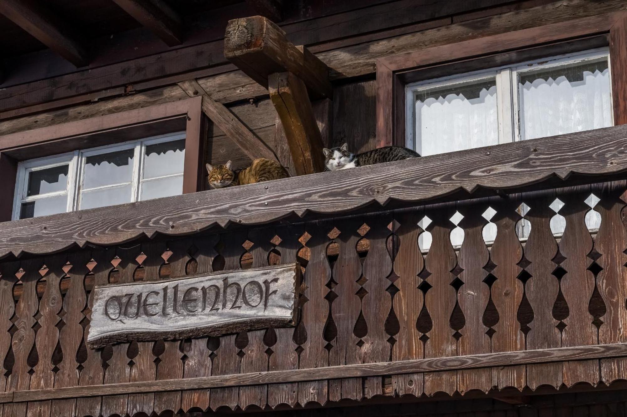 Schwarzwaldliebe Apartman Frohnd Kültér fotó