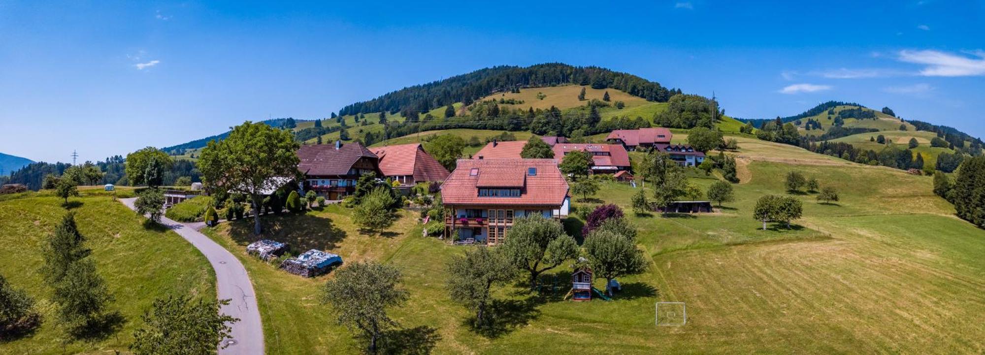 Schwarzwaldliebe Apartman Frohnd Kültér fotó