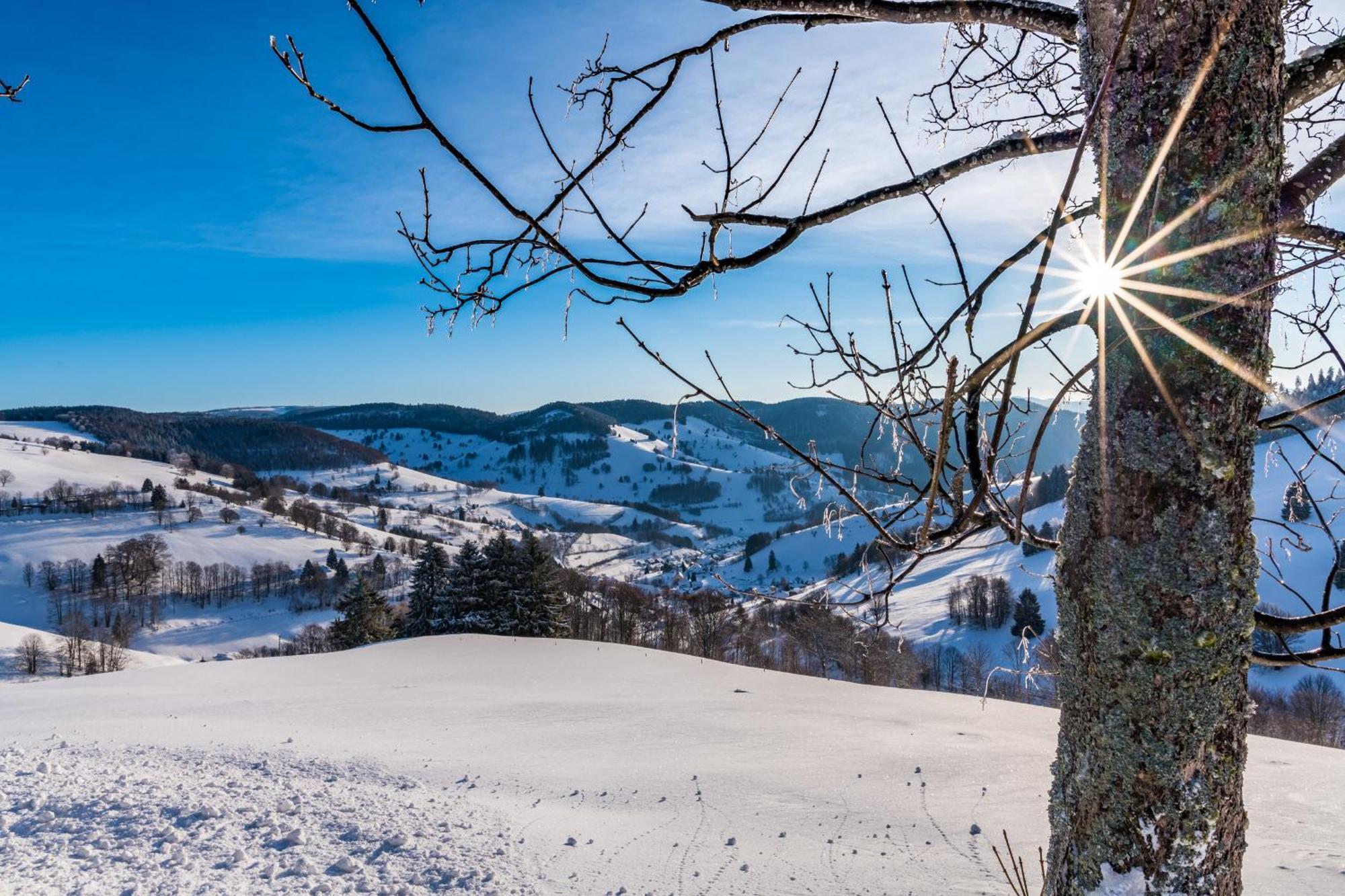 Schwarzwaldliebe Apartman Frohnd Kültér fotó